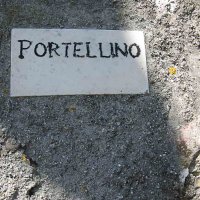 19... Portellino